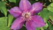 Reiman&trade;