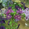 cut-flowers