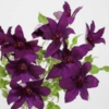 cut-flowers