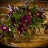 cut-flowers