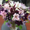 cut-flowers