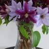 cut-flowers