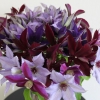cut-flowers