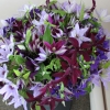 cut-flowers