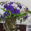 cut-flowers